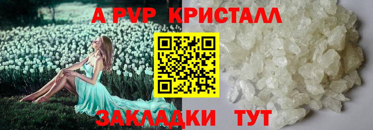 Alfa_PVP СК Коломна