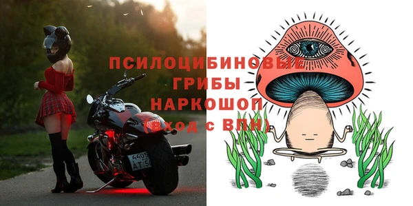 МДПВ Бутурлиновка