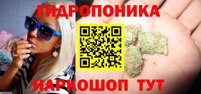 винт Гусев