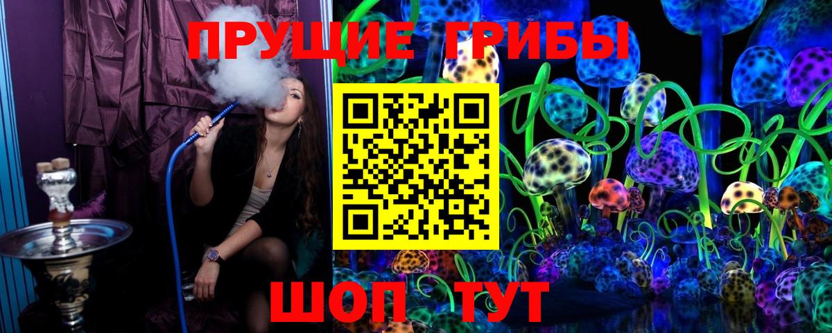 Псилоцибиновые грибы Psilocybine cubensis  Вход с VPN  Коломна 